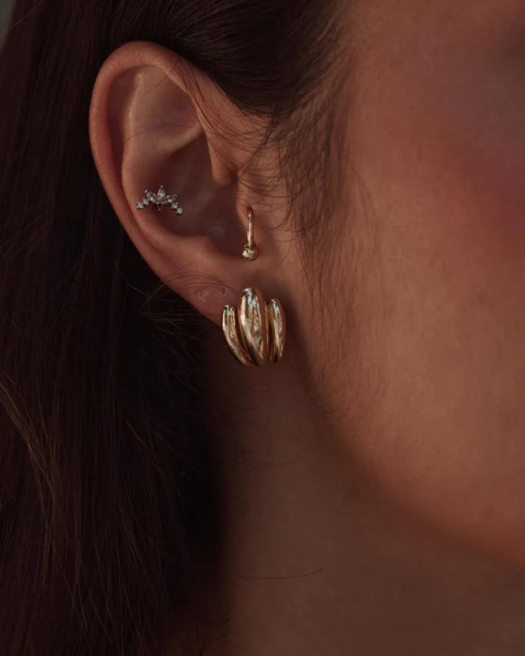 Brinco earhook brisa